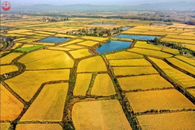 HÌNH ẢNH MINH HỌA TÁCH THỬA