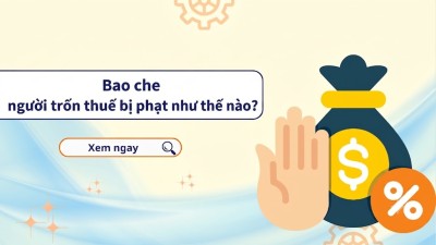 Bao che người trốn thuế bị phạt như thế nào?