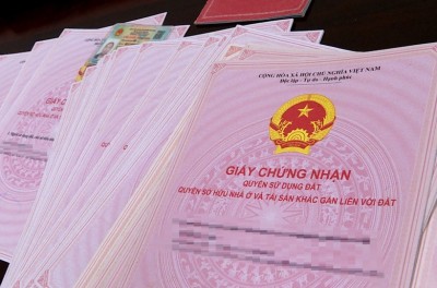Năm 2026, mua chung cư được cấp Sổ hồng hay Sổ đỏ? Những điểm mới cần biết
